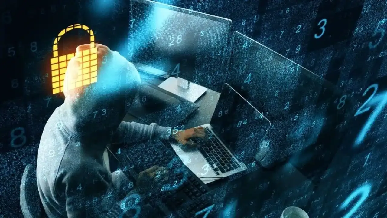 White Box Pentest Yazılım Firmaları İçin Neden Etkilidir?