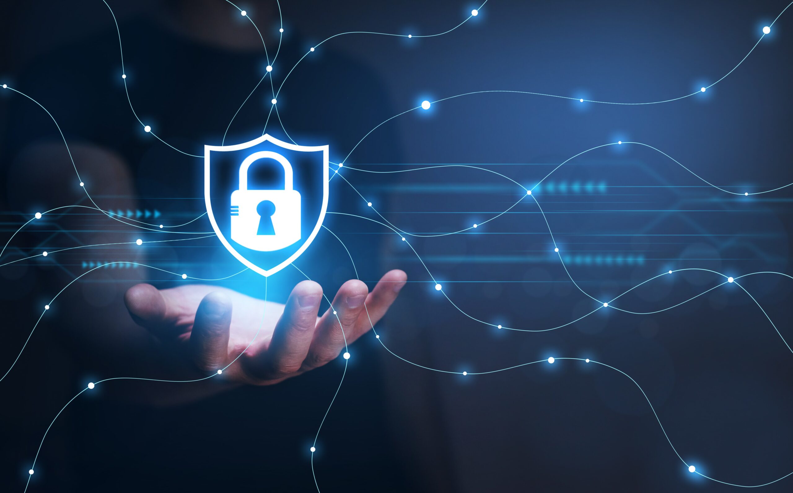 Profesyonel Sızma Testi Analizi